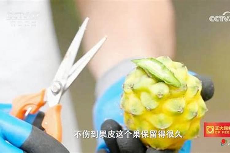 花生麸喂鱼怎样？