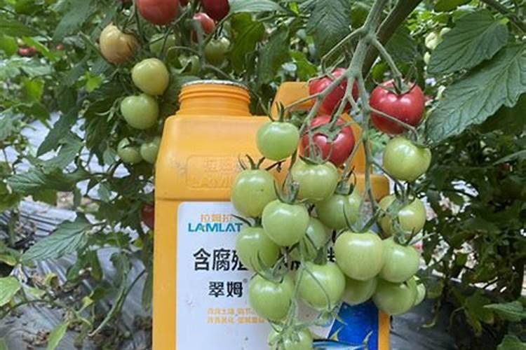 蓝宝石的颜色是由什么决定的？