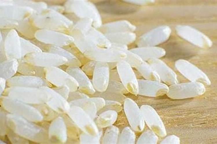 怎样用简便方式自制氮肥