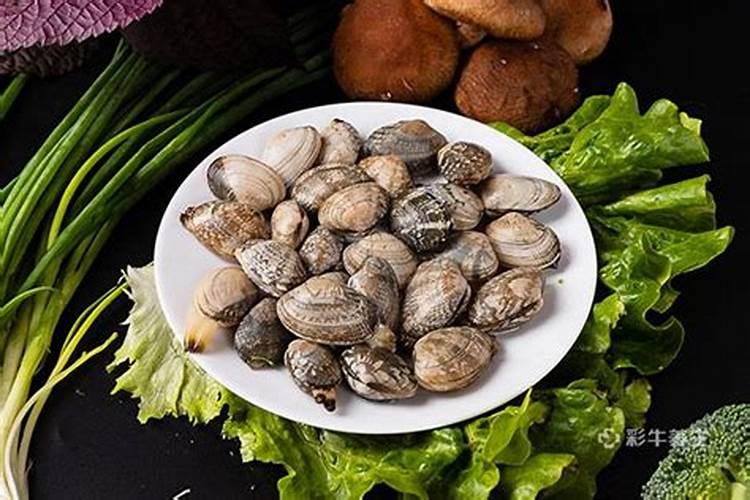 家庭园艺应该买什么肥料？