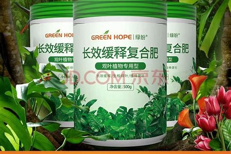 复合肥可以浇绿萝吗