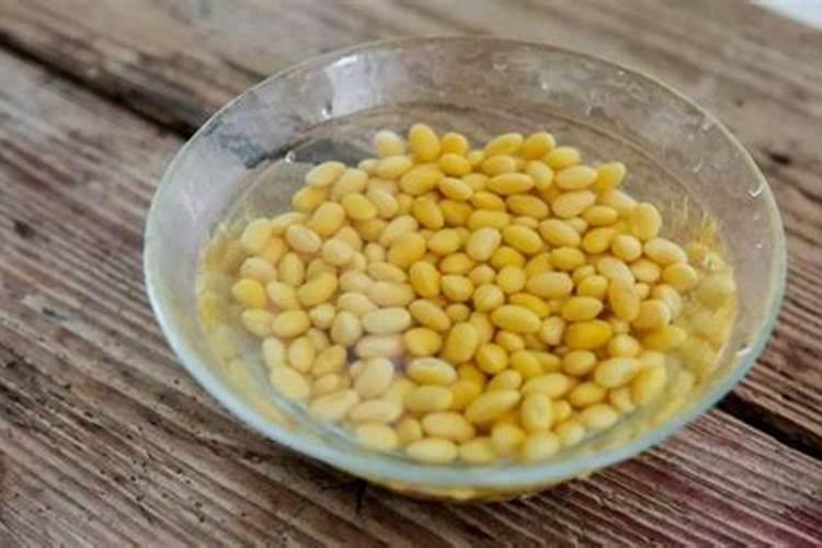 黄豆水是氮肥还是磷肥