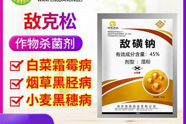 甜瓜定植后怎样施增甜肥效果好