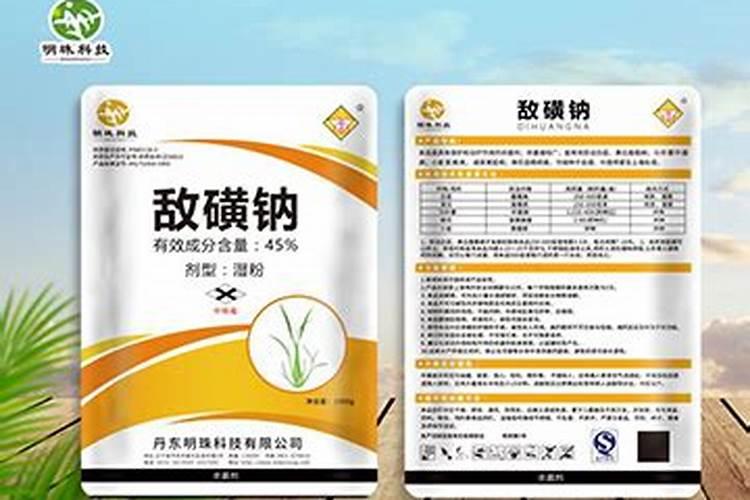 红点草的养殖方法和注意事项