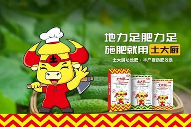 黄瓜追肥用什么肥料好