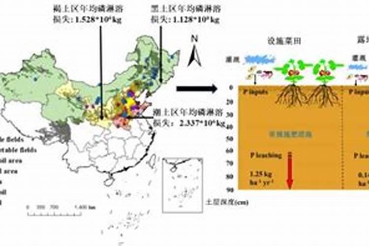 果树夏季施肥最佳时间是几月份