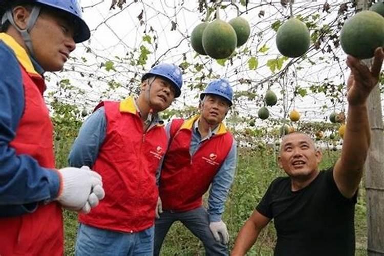 从长远看在临泉酒厂工作好还是在化肥厂工作还