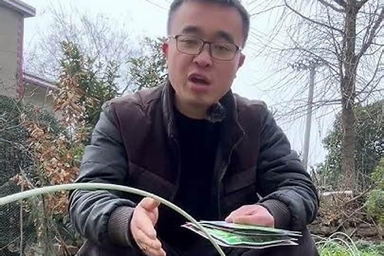 香菜徒长可以喷鱼蛋白吗