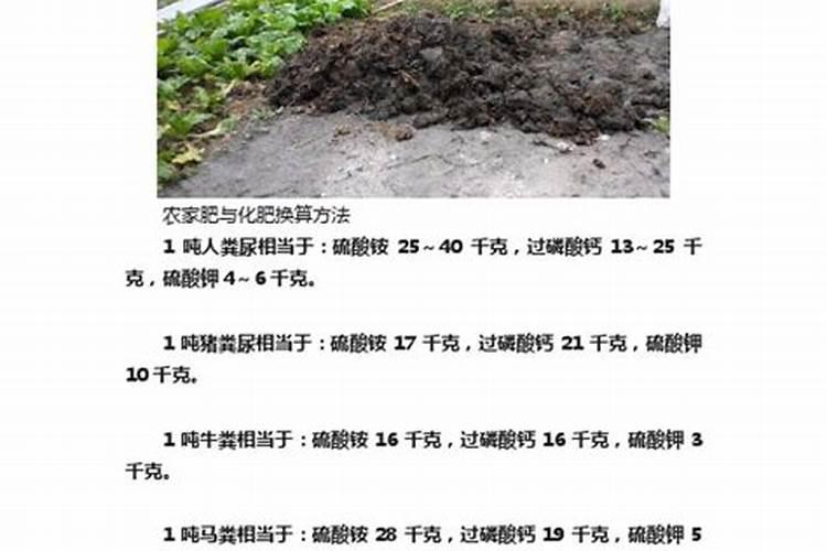 樱花施肥用什么肥料