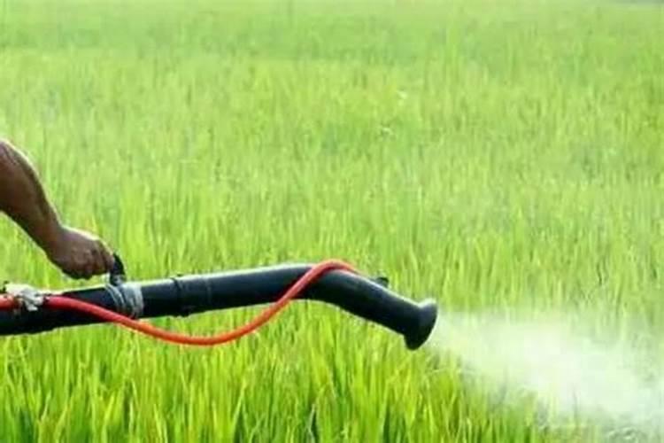 玉米氮磷钾复合肥过量施肥可以吗