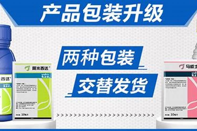 阿米西达使用注意事项是什么