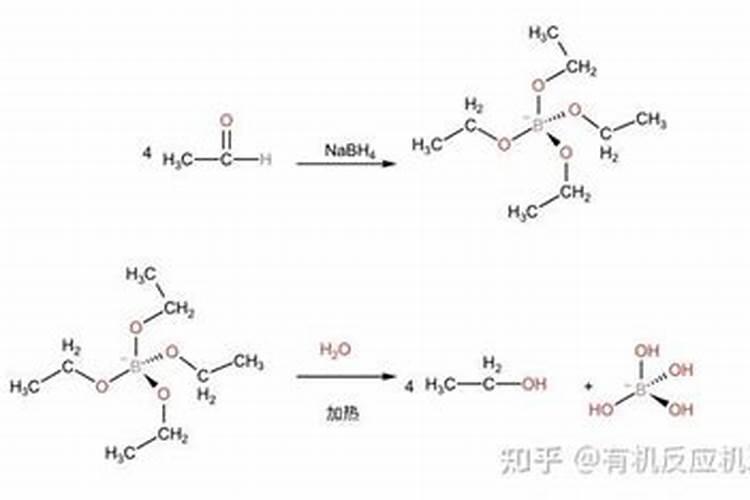 月季剪枝正确浇水方法月季修剪后如何浇水
