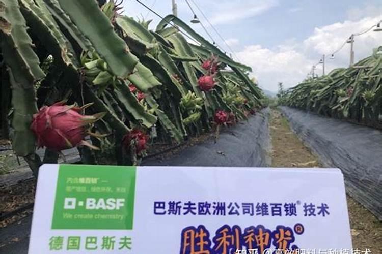 投资一家干洗店需要多少资金,多长时间才能收回成本