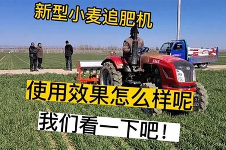 年后小麦追肥,有什么堪称最佳的办法