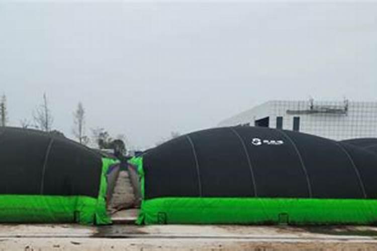 忍冬叶与金银花有区别吗？