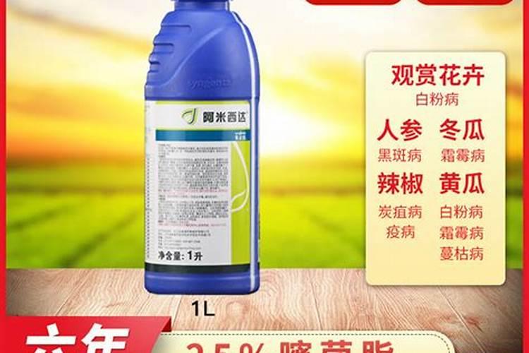 阿米盛禾有什么好处
