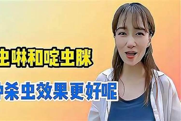 玉米害虫用哪种农药好