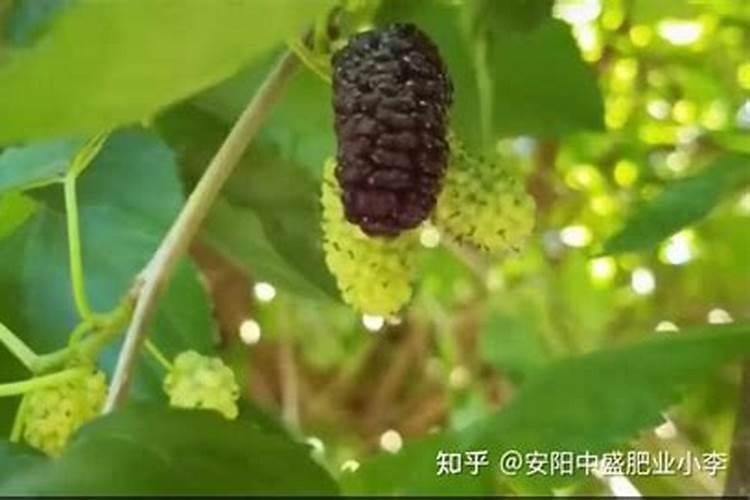 什么物质合成需要供给氮源