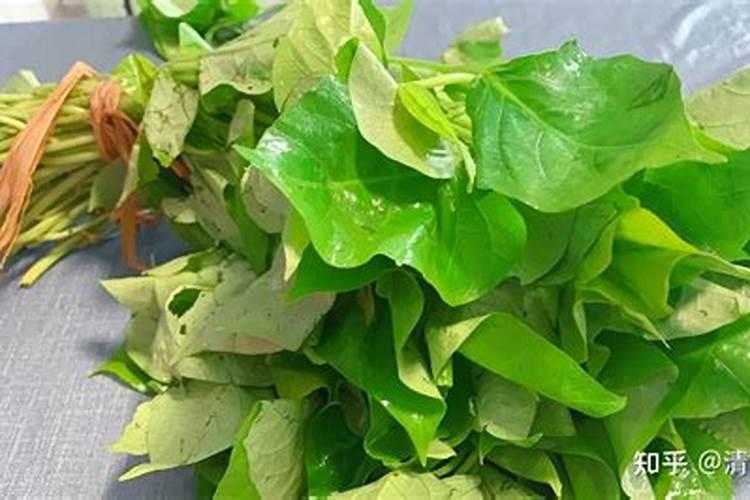红薯叶是优质的绿叶蔬菜,那么怎样施肥才能产量高？