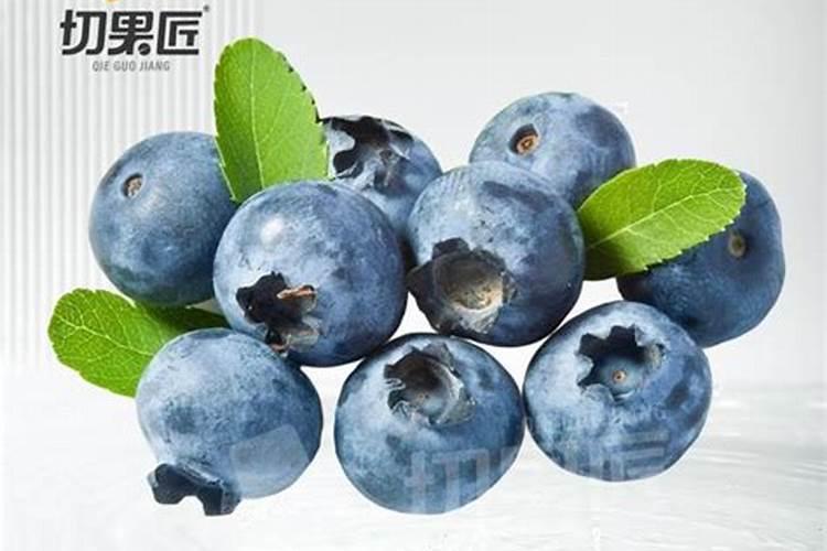 盆栽蓝莓的种植和养护方法 关于盆栽蓝莓的种植和养护方法