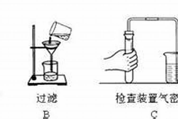 木香花怎么养护最好