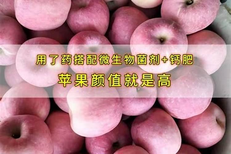 在果树上如何施用钙肥