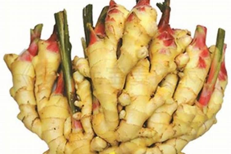种植生姜的用肥方法