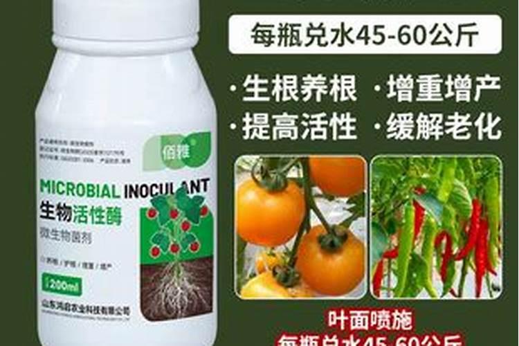 男孩成人礼送什么花合适？