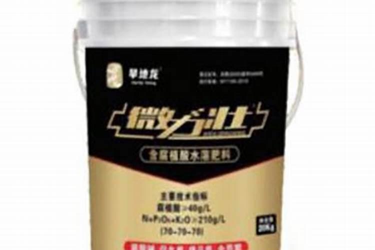 旱地龙是什么？