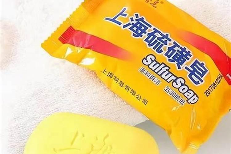 蟹爪兰刚换盆马上浇水可以吗
