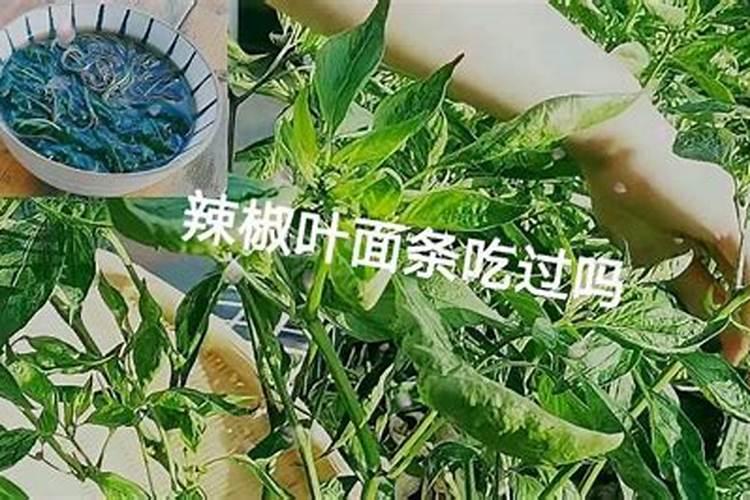 辣椒树疯了用什么药制？