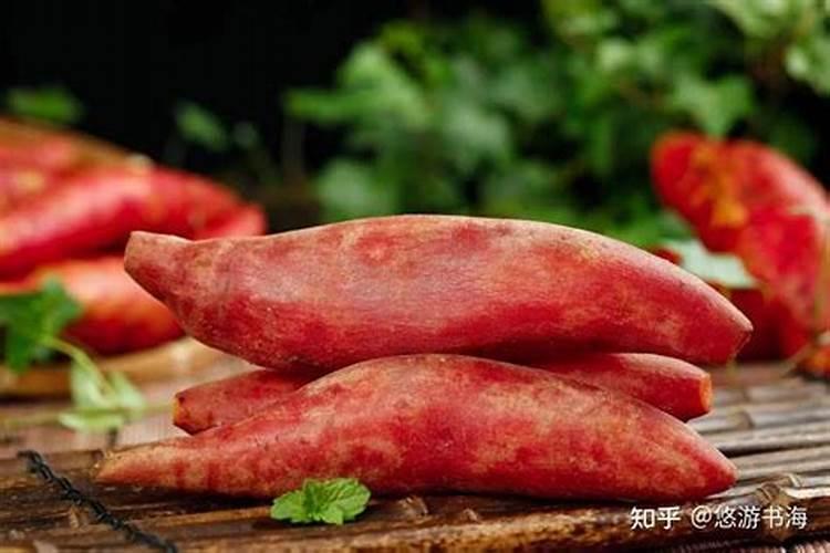 种地瓜用什么肥料最好