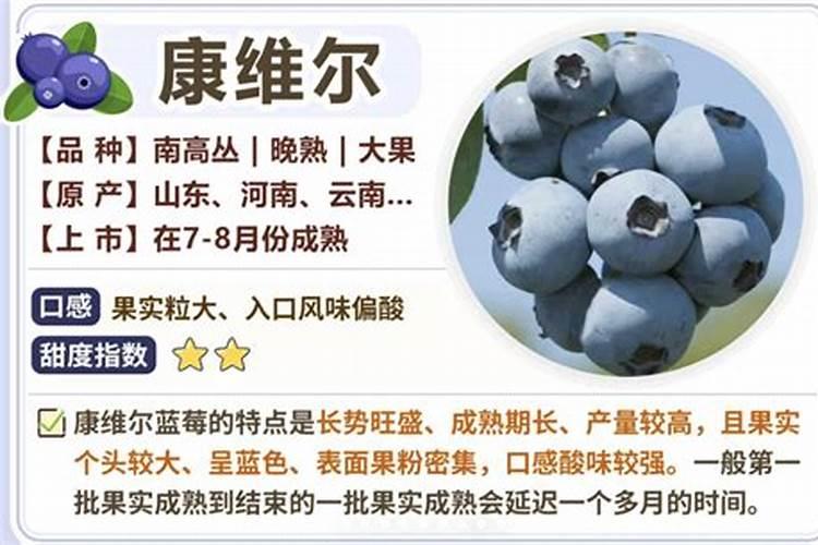 请问蓝莓用什么肥料最好
