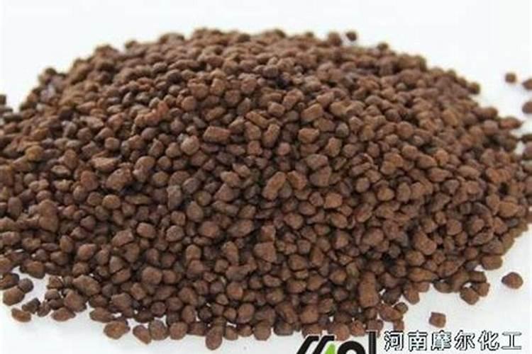 土壤活化剂为啥能提高抗寒能力
