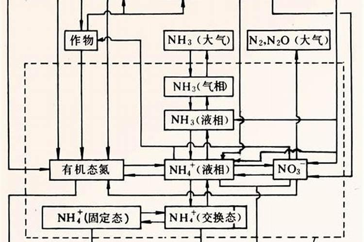 氮肥损失途径有哪些？