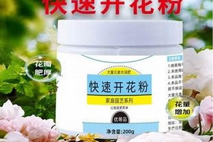 开花需要磷肥还是钾肥