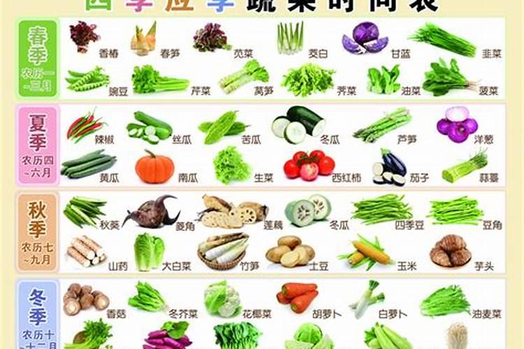 种菜用什么肥料最好