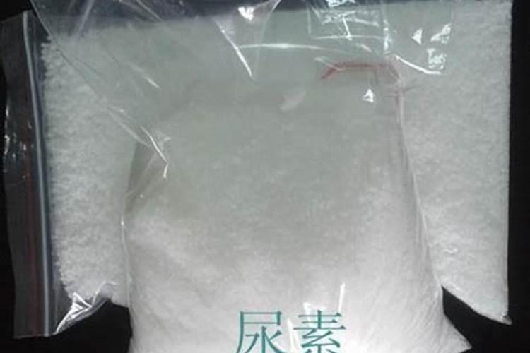 绿萝需要施什么肥,有什么自制肥