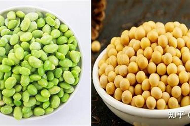 黄豆怎样做花肥 黄豆可以直接做肥料吗