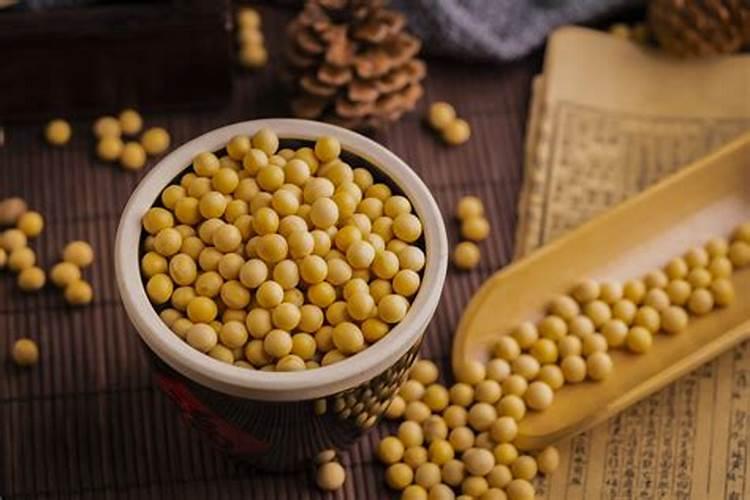 黄豆水属于磷肥还是氮肥