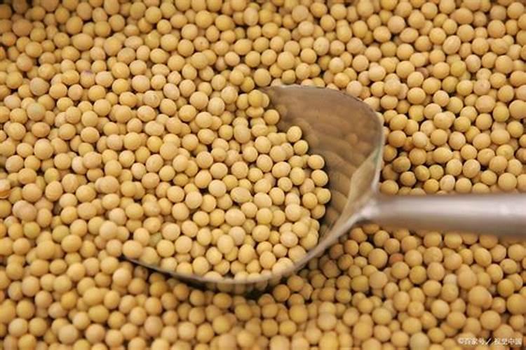 用煮过的大豆做肥料上花还用经过发酵吗