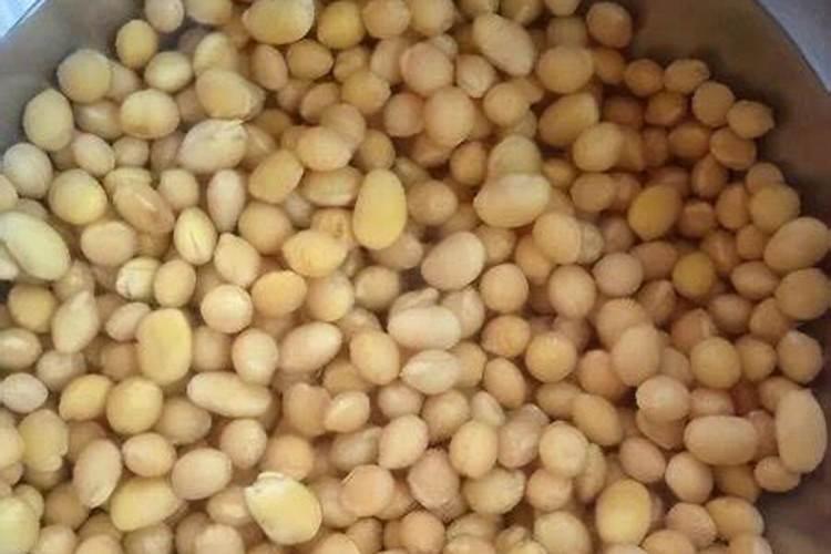 种豆子用什么肥料好