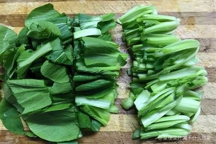 种蔬菜用什么肥料