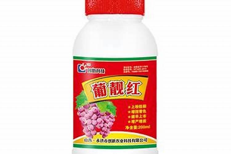 番茄膨果叶面肥效果最好的是哪种