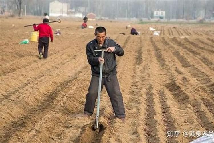 关于化肥的使用是利大于弊还是弊大于利？最好能详细点