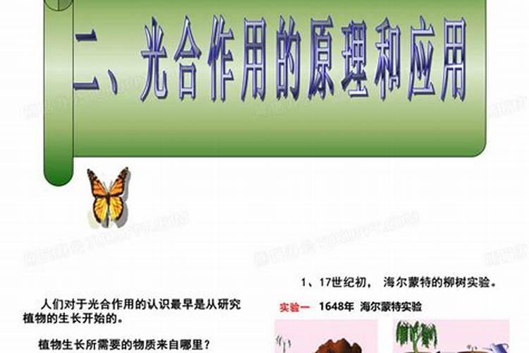 种菜为什么要施肥