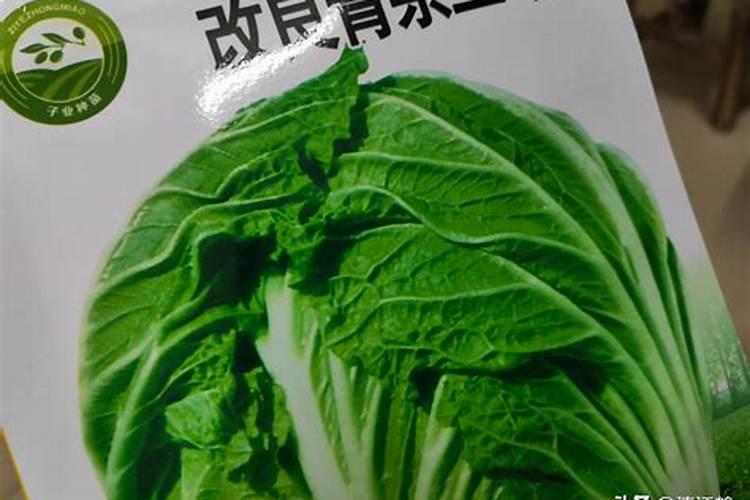 哪些植物需要钾肥