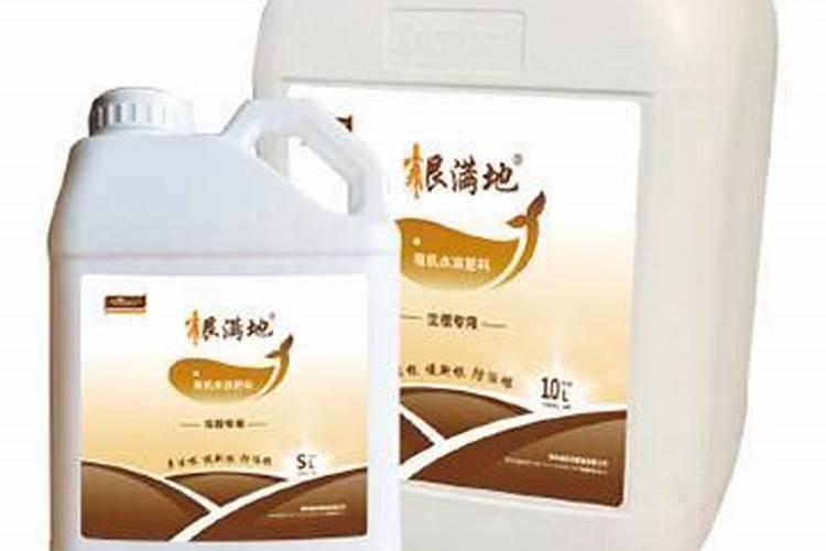 草莓生根壮苗的水溶肥有几种？