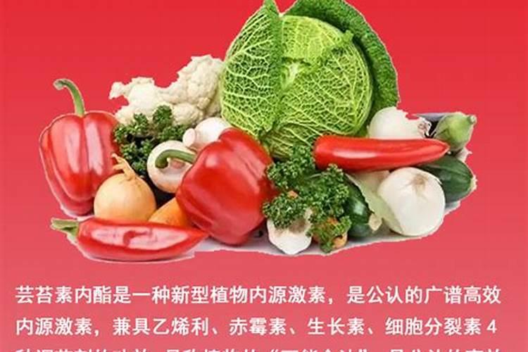 0.01%芸苔素的使用倍数