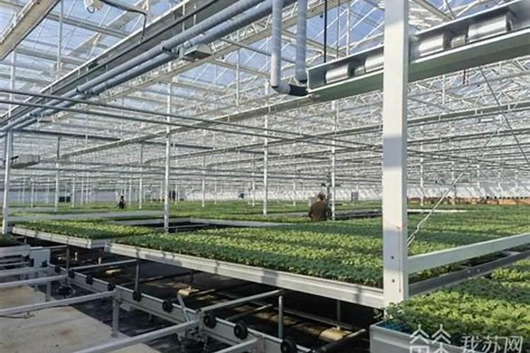 沃丰素产品性能理论